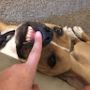 Meet your Posher, Randi